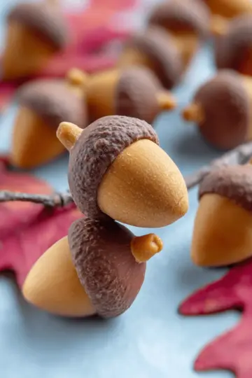 Candy Acorns