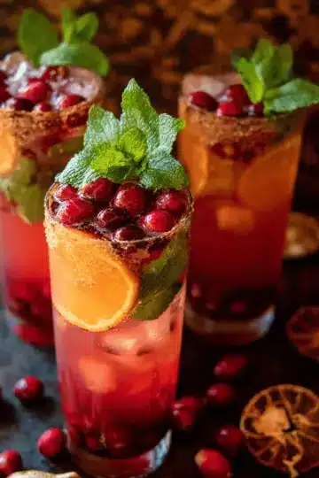 Orange Ginger Cranberry Mojito’s