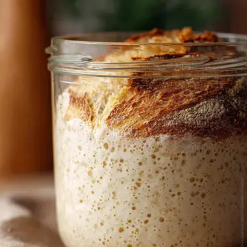 Sourdough Starter Recipe