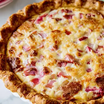 Quick and Easy Rhubarb Custard Pie