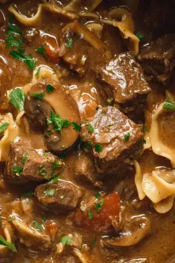 Slow Cooker Beef Stroganoff Stew